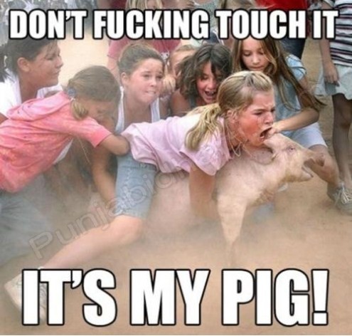 funny-picture-my-pig.jpg (60 KB)