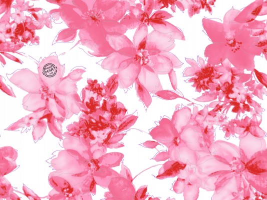 The-best-top-desktop-pink-wallpapers-hd-pink-wallpaper-42.jpg (456 KB)